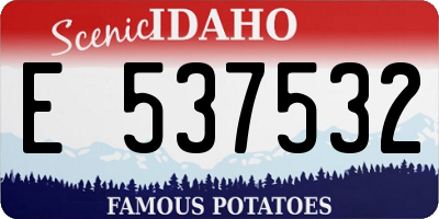 ID license plate E537532