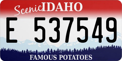 ID license plate E537549