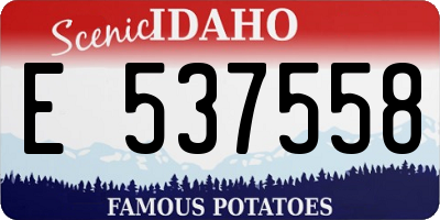 ID license plate E537558
