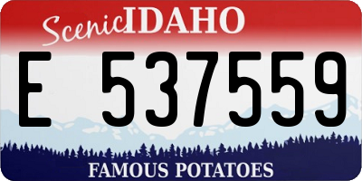 ID license plate E537559