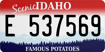 ID license plate E537569