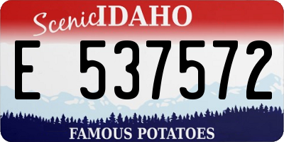 ID license plate E537572