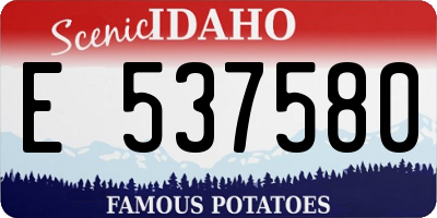 ID license plate E537580