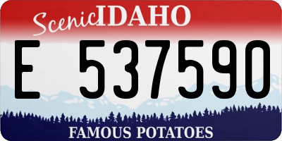 ID license plate E537590