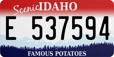 ID license plate E537594