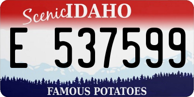 ID license plate E537599