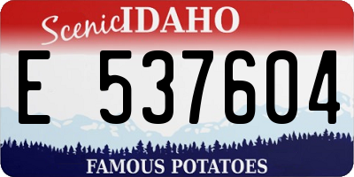 ID license plate E537604