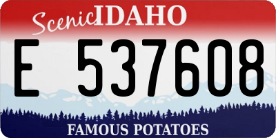 ID license plate E537608