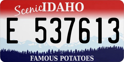 ID license plate E537613