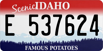 ID license plate E537624