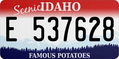 ID license plate E537628