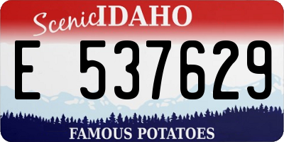 ID license plate E537629