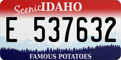ID license plate E537632
