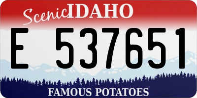 ID license plate E537651