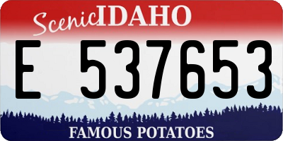 ID license plate E537653