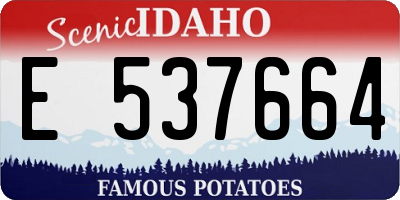 ID license plate E537664