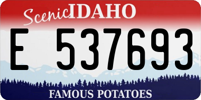ID license plate E537693