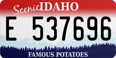 ID license plate E537696