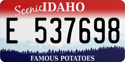 ID license plate E537698