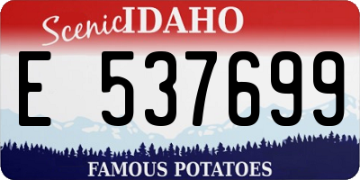 ID license plate E537699
