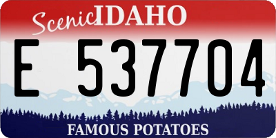 ID license plate E537704