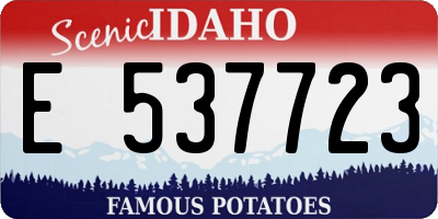 ID license plate E537723