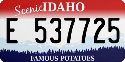 ID license plate E537725