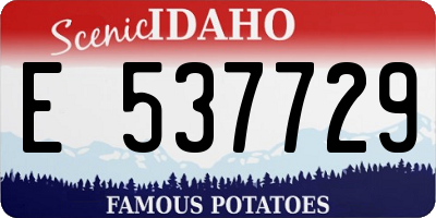 ID license plate E537729
