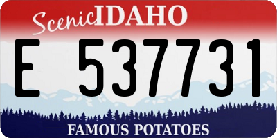 ID license plate E537731