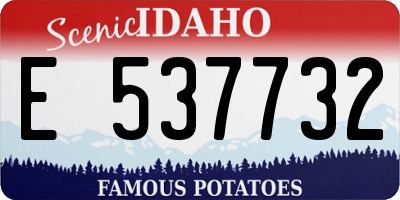 ID license plate E537732
