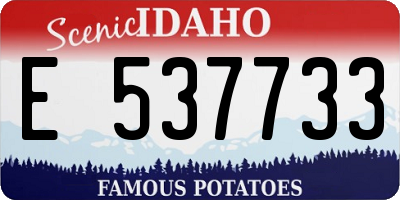ID license plate E537733