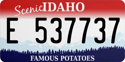 ID license plate E537737