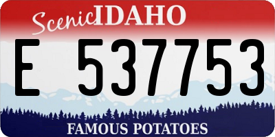 ID license plate E537753