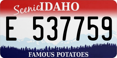 ID license plate E537759
