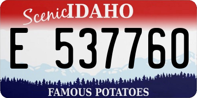 ID license plate E537760