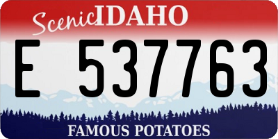 ID license plate E537763