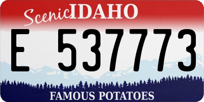 ID license plate E537773