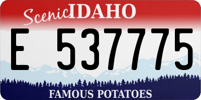 ID license plate E537775