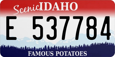 ID license plate E537784