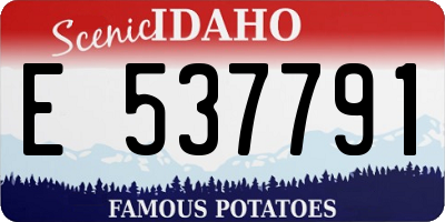 ID license plate E537791