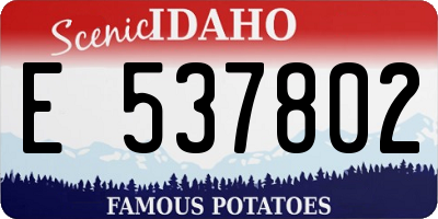 ID license plate E537802