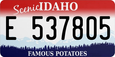 ID license plate E537805