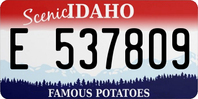 ID license plate E537809