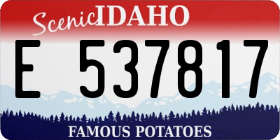ID license plate E537817