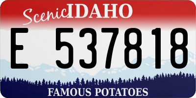 ID license plate E537818
