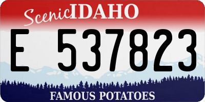 ID license plate E537823