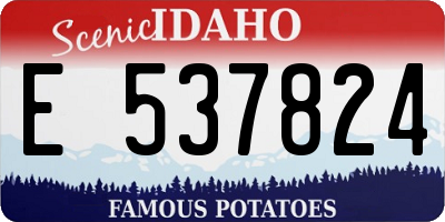 ID license plate E537824