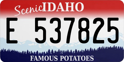ID license plate E537825