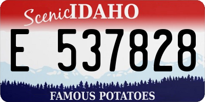 ID license plate E537828