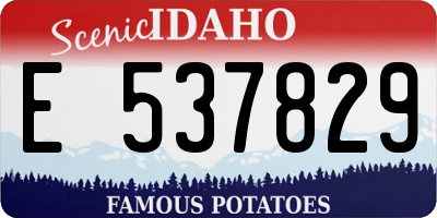 ID license plate E537829